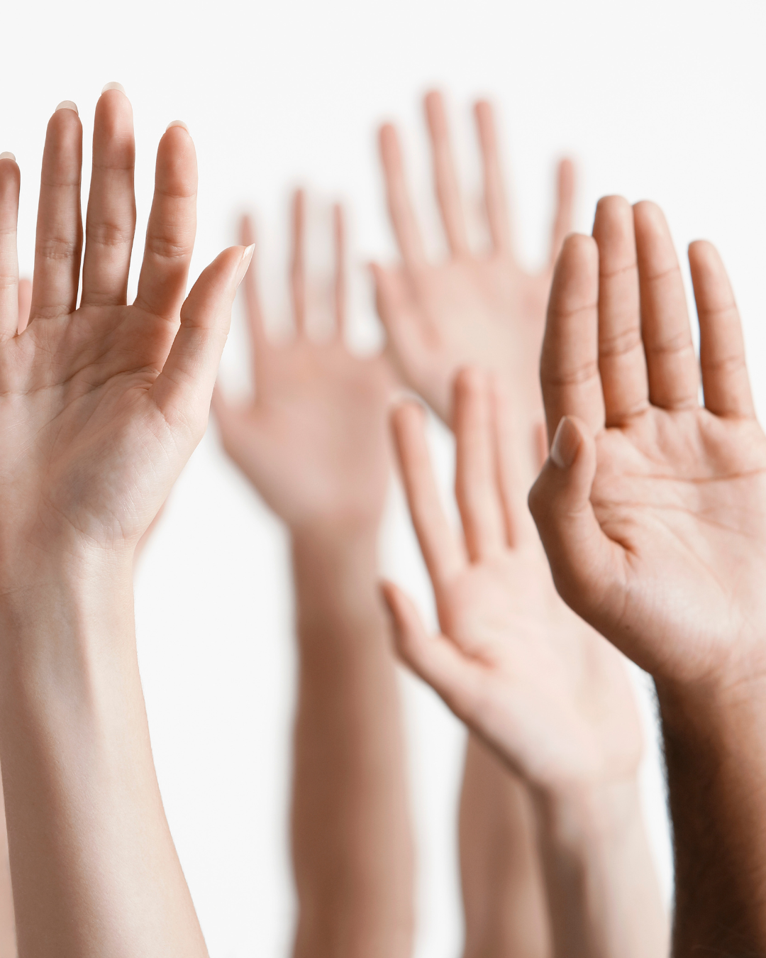 Hands raised in the air, volunteering.