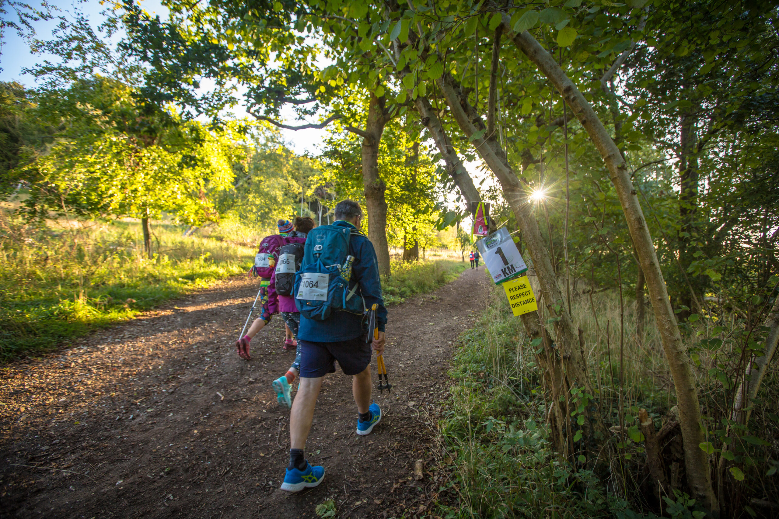People hiking on a forest trail in daylight with backpacks and walking poles