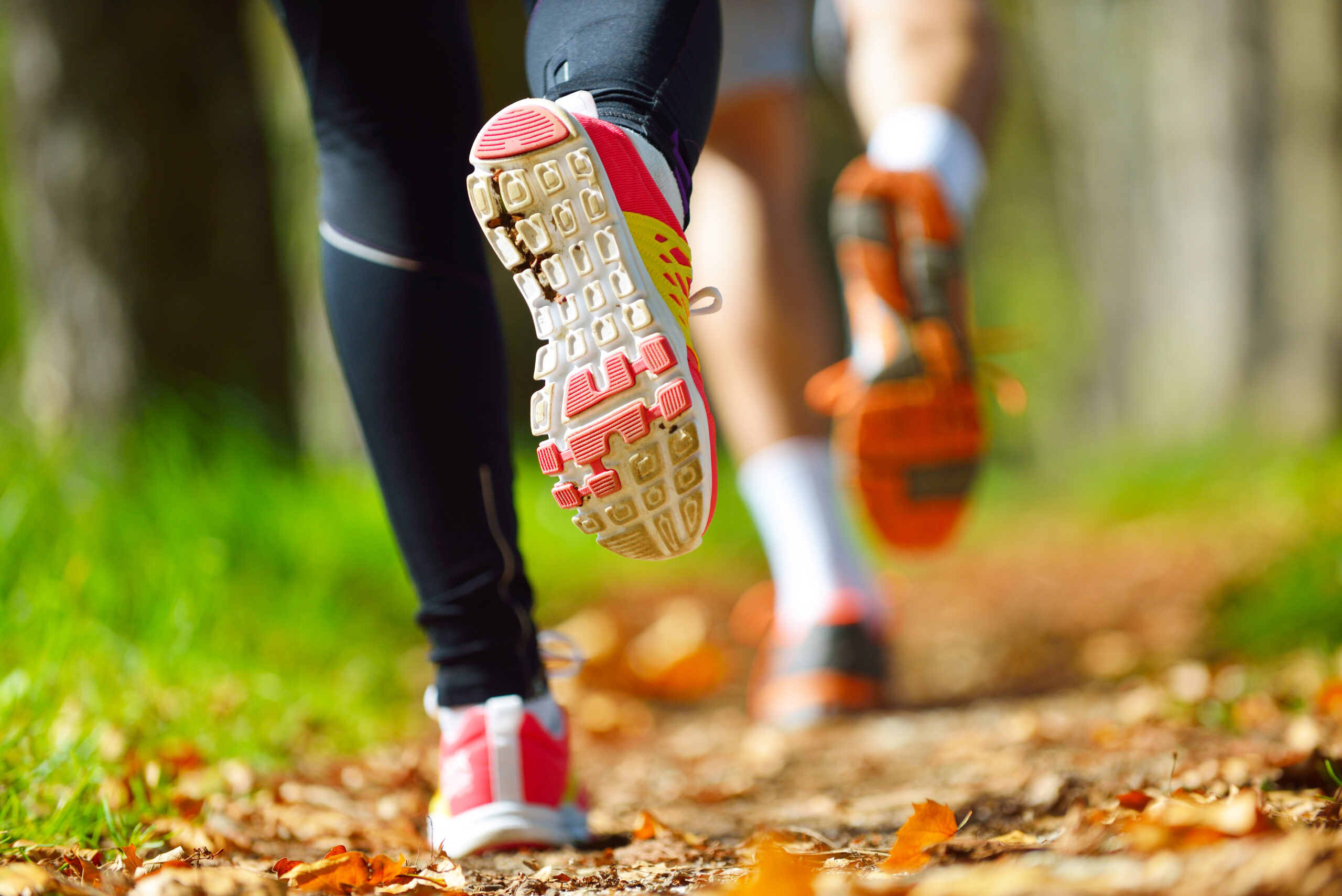 Close‑up of two runners’ shoes as they run along a leafy trail.